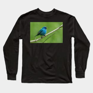 Indigo Bunting Long Sleeve T-Shirt